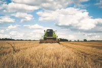 Covid-19 : aidez l'agriculture grâce à l'initiative #desbraspourtonassiette