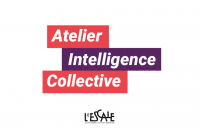 Atelier intelligence collective - Strasbourg Robertsau
