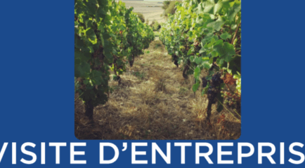 Visite entreprise Champagne Rafflin Lepitre - Chigny Les Roses (51)