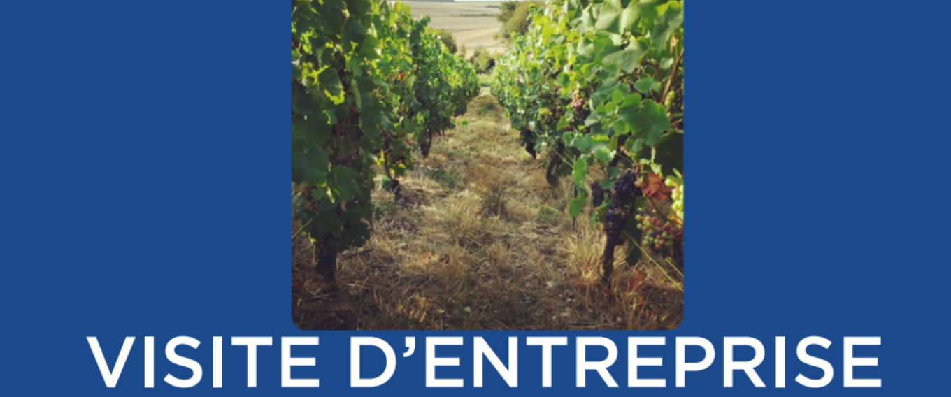 Visite entreprise Champagne Rafflin Lepitre - Chigny Les Roses (51)