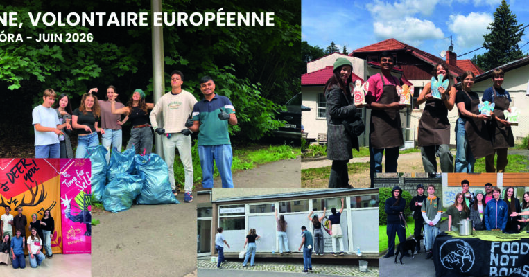 Volontariat européen : une Première pour Pauline